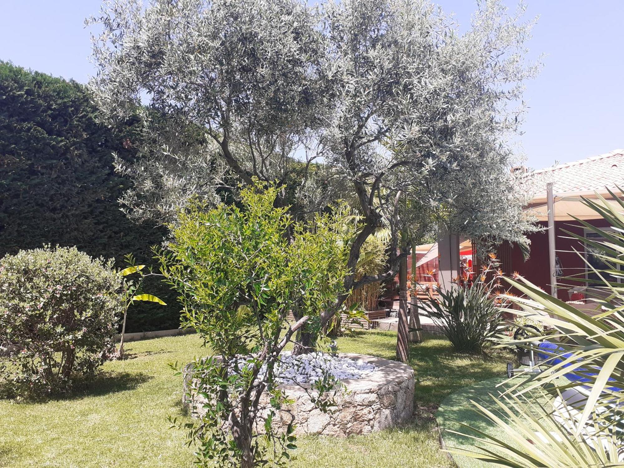 Chambre D'Hotes Casa Lucia Фюриани Екстериор снимка